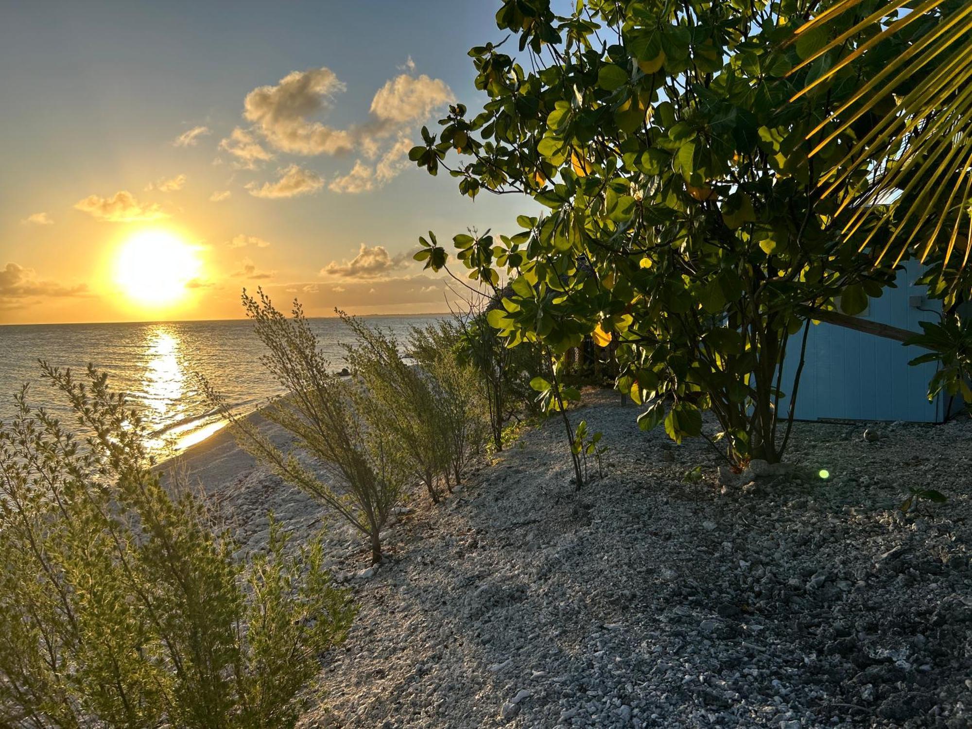 Rangiroa Bliss Hotell Tiputa Eksteriør bilde