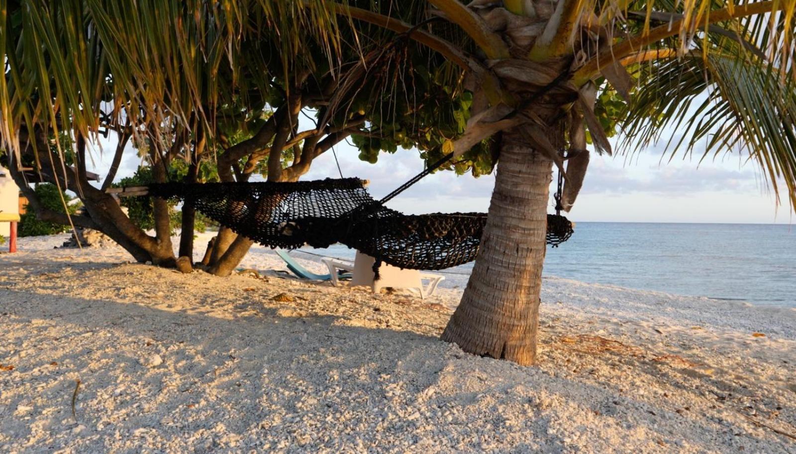 Rangiroa Bliss Hotell Tiputa Eksteriør bilde