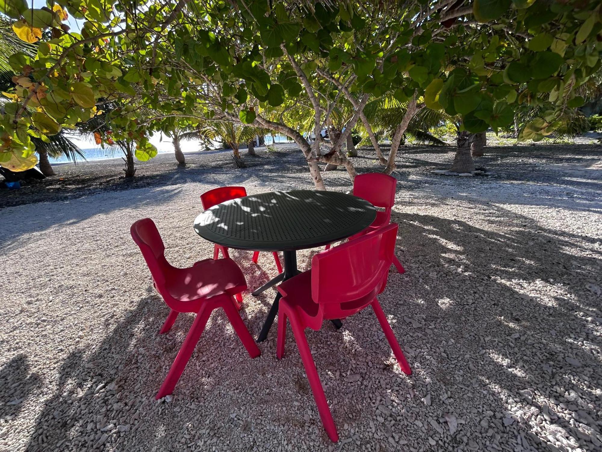 Rangiroa Bliss Hotell Tiputa Eksteriør bilde